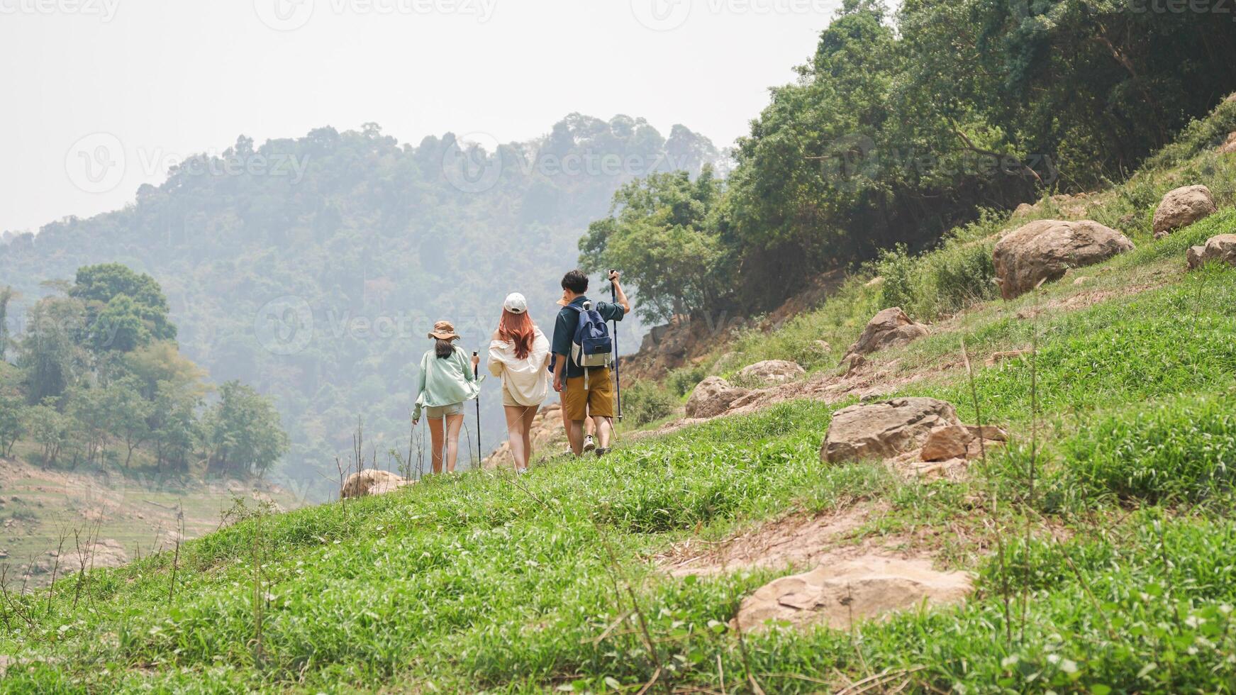 Group of people walking on a scenic nature trail through green forest